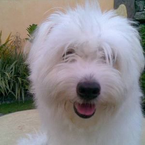 Meet your Posher, Iya